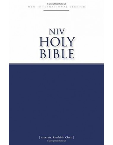 NIV economy bible