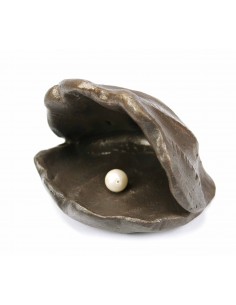 Beeld Parel in schelp 11cm...