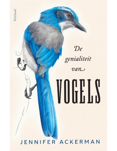 De genialiteit van vogels