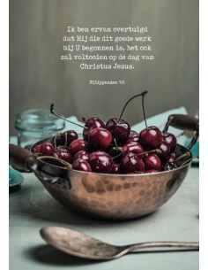 Poster Hij zal dit goede...