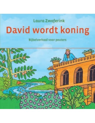 David wordt koning