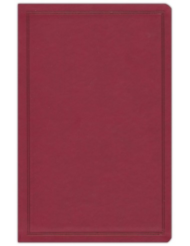 CSB deluxe gift bible