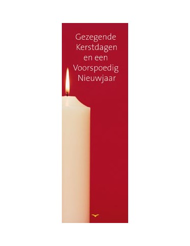 25x Bl kerst witte kaars