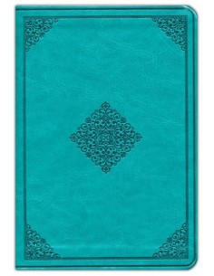 ESV large print compact bible