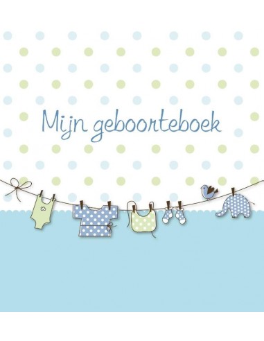 Mijn geboorteboek blauw