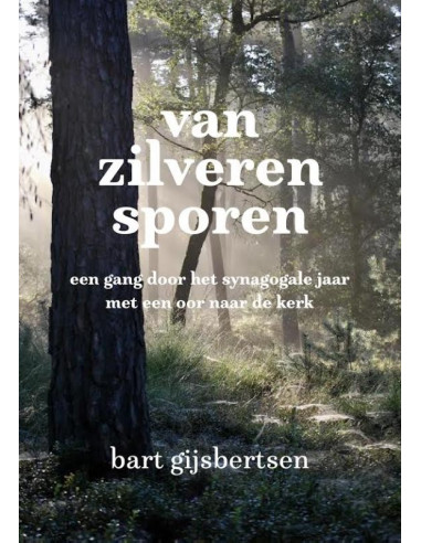 Van zilveren sporen