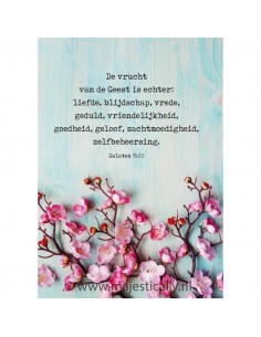 Bloesem - De vrucht van de...