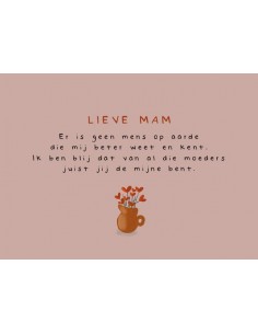 Lieve mam
