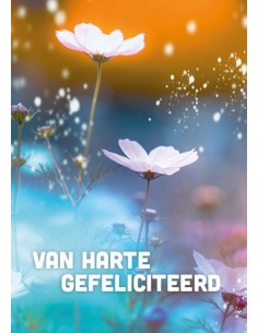 Van harte gefeliciteerd -...