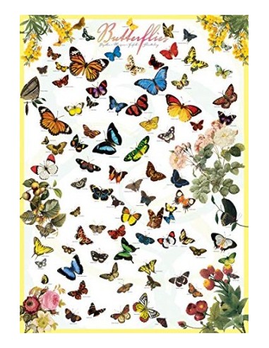 Butterflies (1000)