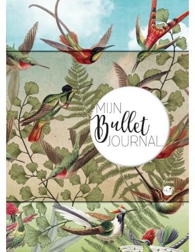 Mijn bullet journal kolibrie