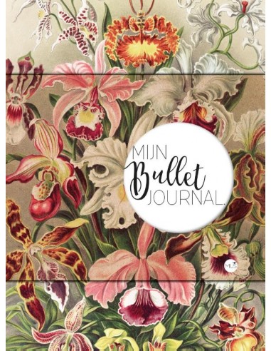 Mijn bullet journal orchidee